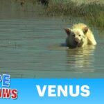 Video thumbnail for youtube video euyloaapuis