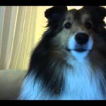 Video thumbnail for youtube video itl8gtuq29k