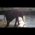 Video thumbnail for youtube video tzz_i0f7rqe