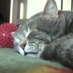 Video thumbnail for youtube video v9hxovbsl_4