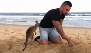 Funny, Video, Skit, Prank, Pranks, Joke, Jack, odoherty, real, australian, australia, youtuber, facebook, tradie, bloke, teens,kangaroo,new pet,adopt kangaroo,weird adoption