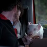 A Baby Piglet gets Lost