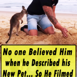 No one Believed Him when he Described his New Pet