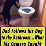 Dad Follows his Dog to the Bathroom