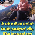 He made an offroad wheelchair for his paralyzed wife