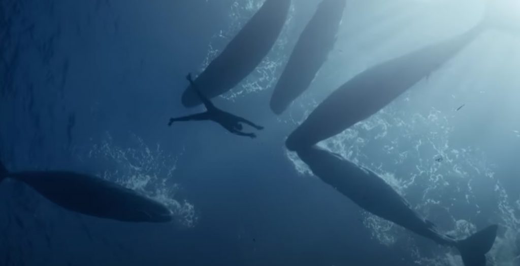 freediving, Nice, Dive, Ocean, Whales, Mexico, Japan, Mauritius, Travel, Short Film, Deep Breath, Adventure, Diver, Diving Suit,