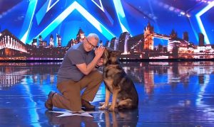 dog, police, story, stage, relationship,