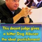 This decent judge gives a bitter Dog Abuser the ideal punishment for her misconduct