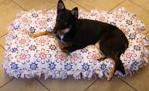 pet bed, sewing, DIY, creative Idea, pets, beds