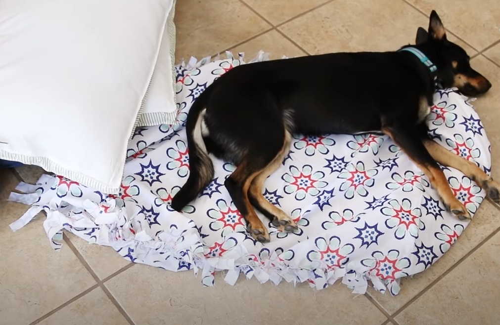 pet bed, sewing, DIY, creative Idea, pets, beds