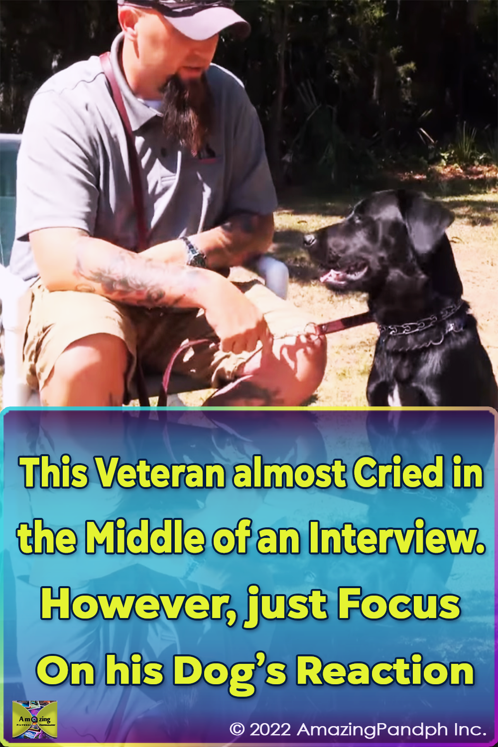 dog, service dog, vet, PTSD, soldier, emotional, News,