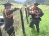 dogs, rescue, police, colombian, pets, inspiring, colombia,