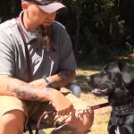 Gumbo the Service Dog with incredible Skills