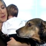 Superhero Dog Pays Owners Back by Saving Baby