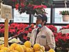 Deli Clerk, voice, talent, shop, opera, performance, concert,