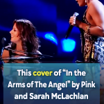 In the Arms of The Angel – Pink and Sarah McLachlan (Cover)