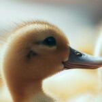 Mama Duck & 12 Ducklings Get Police Escort to River3