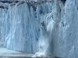 Julia Roberts, Mother Nature, Nature Is Speaking, Conservation International, Environmental film, Urgent message, Human survival, Julia Roberts as Mother Nature, Protecting the environment, Sustainable future