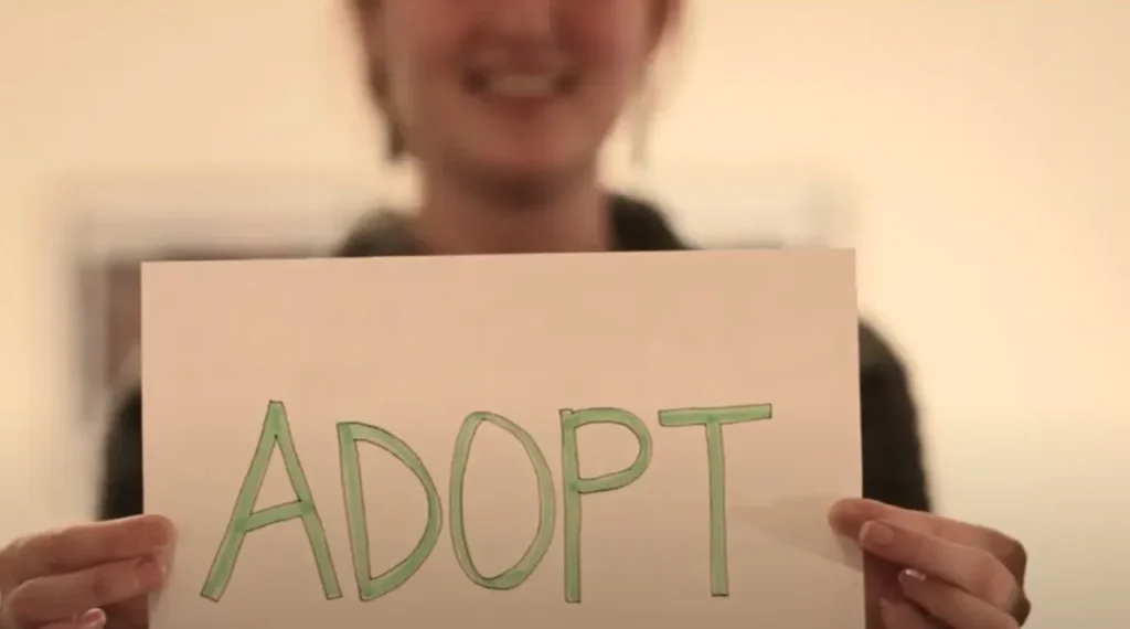 adoption as a solution to infertility, overcoming infertility through adoption, real adoption success stories after infertility, emotional journey from infertility to adoption, benefits of adoption over infertility treatments