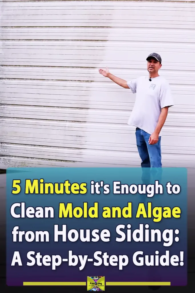 5 Minutes it's Enough to Clean Mold and Algae from House Siding: A Step-by-Step Guide 5 Minutes its Enough to Clean Mold and Algae from House Siding