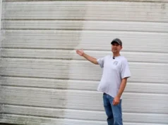 mold removal, algae removal, house cleaning, siding cleaning, home maintenance, DIY cleaning, exterior cleaning, vinyl siding, 30 Second Cleaner, Home Armor