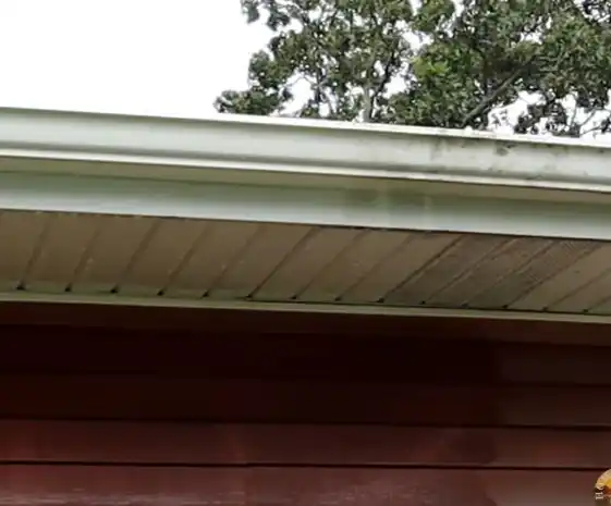 5 Minutes it's Enough to Clean Mold and Algae from House Siding: A Step-by-Step Guide mold removal, algae removal, house cleaning, siding cleaning, home maintenance, DIY cleaning, exterior cleaning, vinyl siding, 30 Second Cleaner, Home Armor