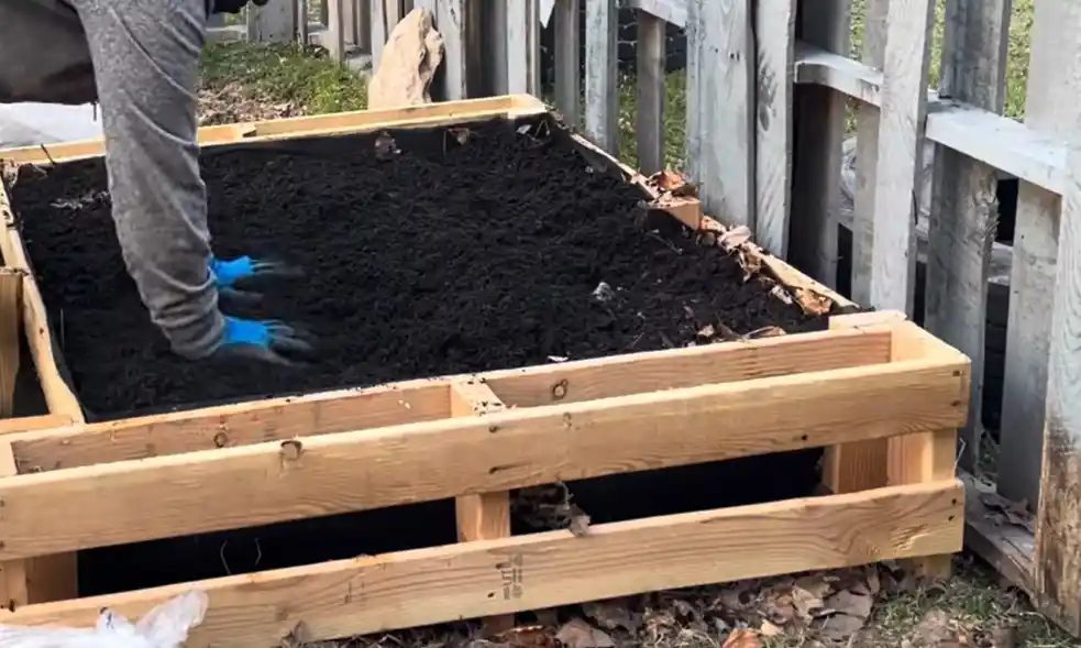 DIY Mini Raised Bed from a Single Pallet: A Gardener's Guide DIY, raised bed, pallet project, gardening, free, backyard, organic, repurpose, recycle, garden