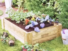 DIY, raised bed, pallet project, gardening, free, backyard, organic, repurpose, recycle, garden
