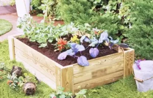 DIY, raised bed, pallet project, gardening, free, backyard, organic, repurpose, recycle, garden
