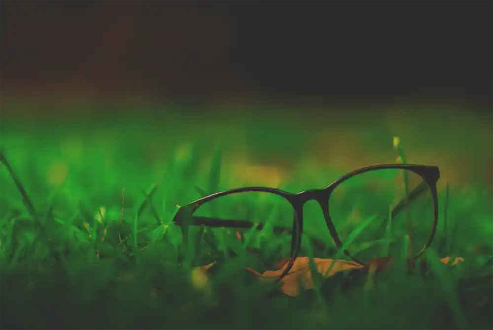 glasses in grass