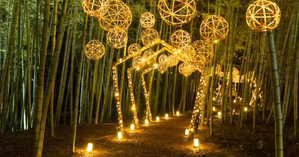 landscape lighting, outdoor lighting, home improvement, curb appeal, garden lights, LED lights, DIY project, home exterior, path lighting, well lights