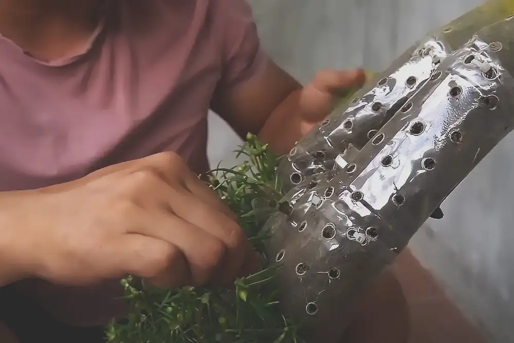 upcycled garden, bottle planter, DIY garden, vertical garden, Portulaca, moss rose, eco-friendly, balcony garden, small space, gardening