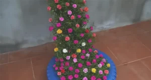 upcycled garden, bottle planter, DIY garden, vertical garden, Portulaca, moss rose, eco-friendly, balcony garden, small space, gardening