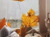 home decor, fall stems, pillows, ribbon, cozy home decor