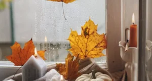 home decor, fall stems, pillows, ribbon, cozy home decor