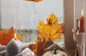 home decor, fall stems, pillows, ribbon, cozy home decor