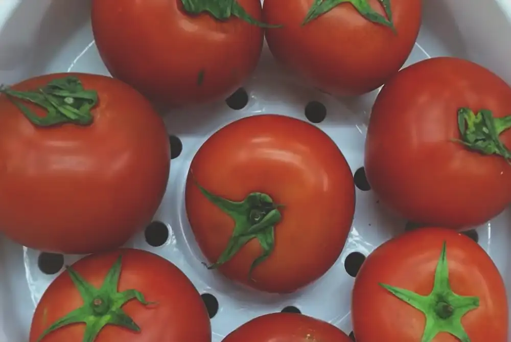 Drying tomatoes, keep tomatoes fresh longer, tomatoes storage