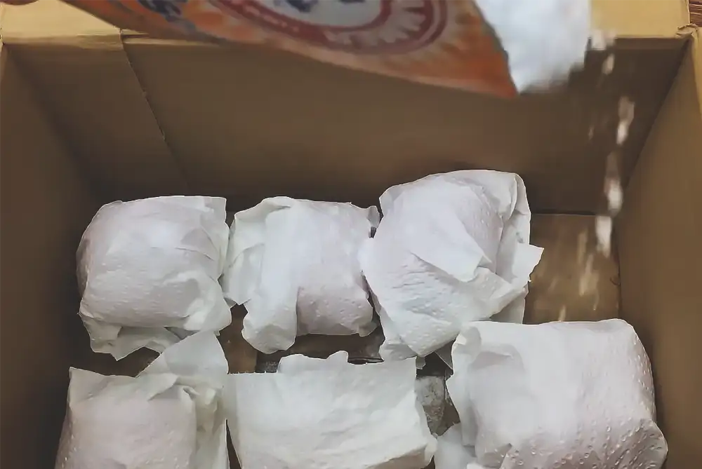 Storing Tomatoes in a Box, keep tomatoes fresh longer, tomatoes storage