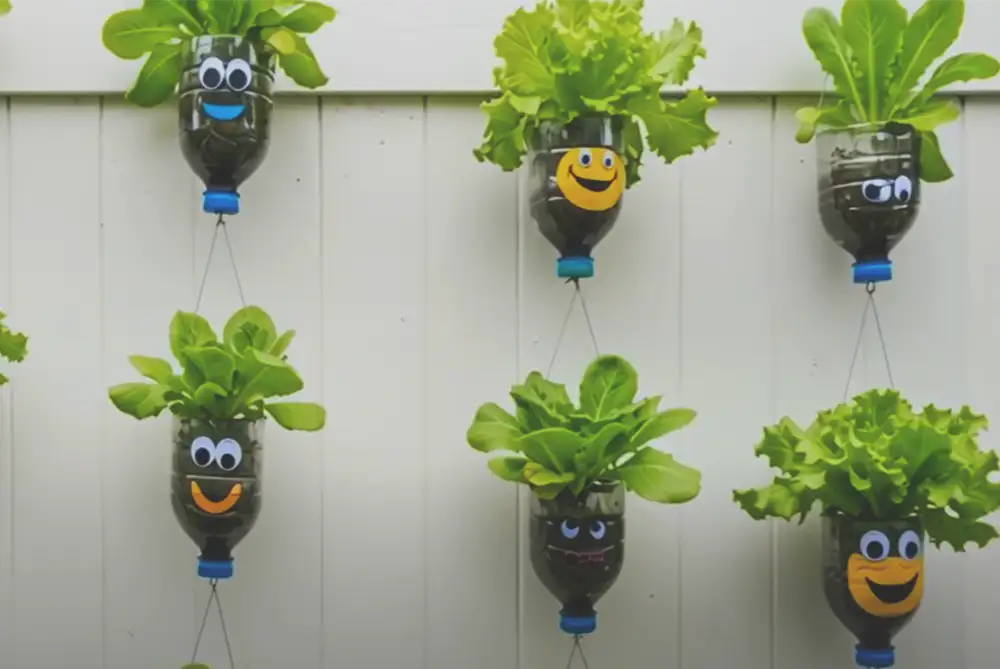 plastic waste into garden art, Planter Ideas, Painting Designs on Recycled Plastic Planters
