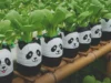 plastic waste into garden art, Planter Ideas, Painting Designs on Recycled Plastic Planters