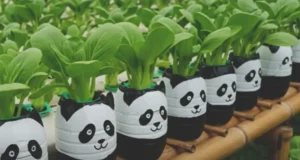 plastic waste into garden art, Planter Ideas, Painting Designs on Recycled Plastic Planters
