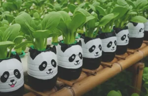 plastic waste into garden art, Planter Ideas, Painting Designs on Recycled Plastic Planters