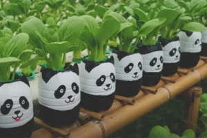 plastic waste into garden art, Planter Ideas, Painting Designs on Recycled Plastic Planters