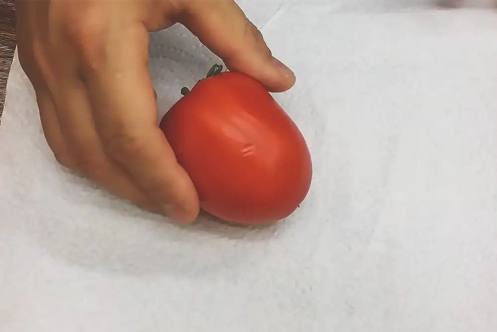 toilet paper tomato storage, keep tomatoes fresh longer, tomatoes storage