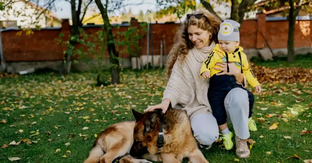 Mother and son enjoy a fall day outdoors with their German Shepherd dog, surrounded by autumn leaves..