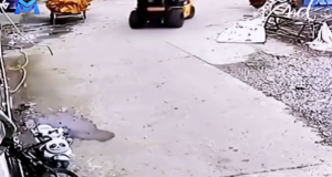 Watch What Happens When a Tiny Girl Becomes Her Siblings’ Protector—So Heartwarming!