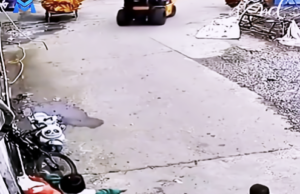 Watch What Happens When a Tiny Girl Becomes Her Siblings’ Protector—So Heartwarming!