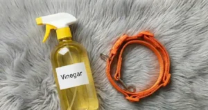 pet cleaning,cleaning hacks,vinegar,pet odor removal,pet stain removal,pet hair,eco-friendly cleaning,home cleaning tips,pet care,natural cleaning