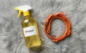 pet cleaning,cleaning hacks,vinegar,pet odor removal,pet stain removal,pet hair,eco-friendly cleaning,home cleaning tips,pet care,natural cleaning
