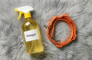 pet cleaning,cleaning hacks,vinegar,pet odor removal,pet stain removal,pet hair,eco-friendly cleaning,home cleaning tips,pet care,natural cleaning